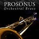 Prosonus Orchestral Brass
