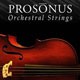 Prosonus Orchestral Strings