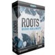 Roots SDX - Brushes, Rods & Mallets [6 DVD]